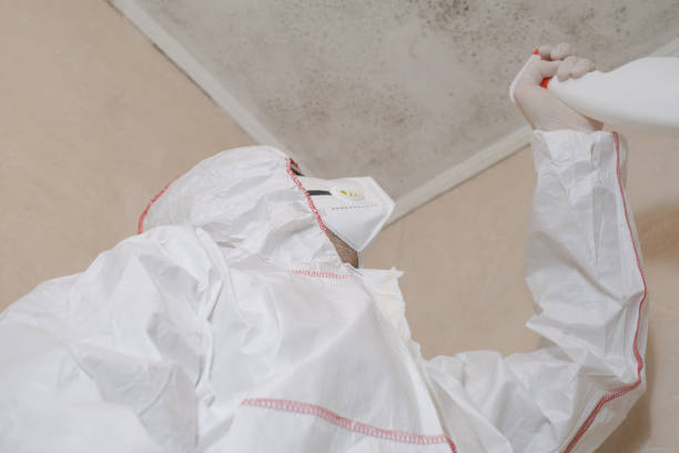 Best Residential Mold Removal  in Catonsville, MD
